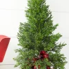 Hot Decorator's Warehouse 24” Cedar Tree In Plaid Sack