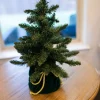 Clearance Decorator's Warehouse 18” Christmas Tree In Green Decorative Bag
