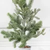 Hot Decorator's Warehouse 2’ Flocked Potted Pine Tree