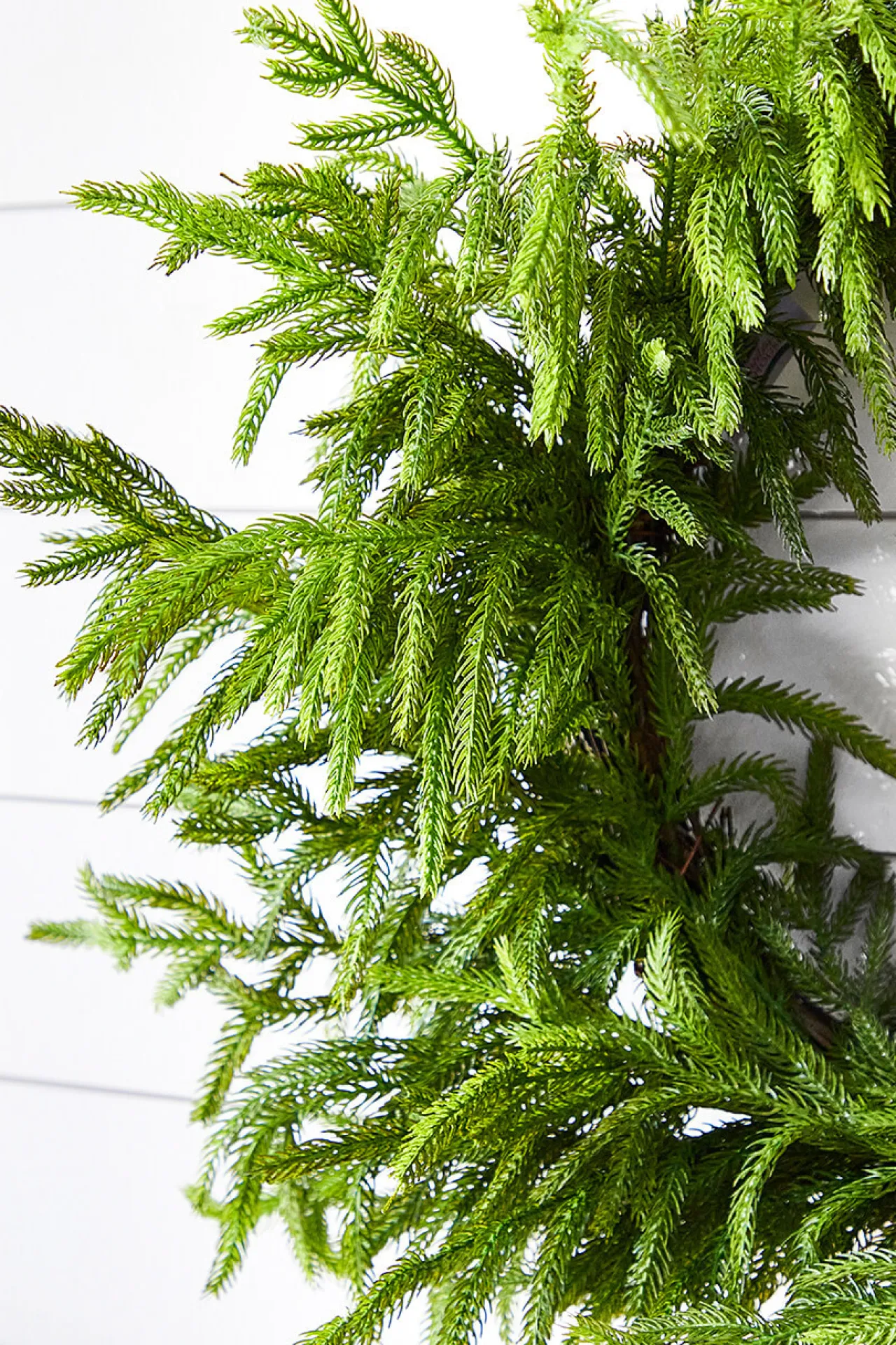 New Decorator's Warehouse 24” Just Cut Norfolk Pine Wreath