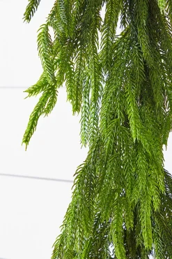 Online Decorator's Warehouse 72” Real Touch Norfolk Pine Garland