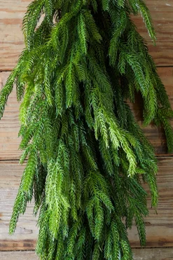 Hot Decorator's Warehouse 36” Real Touch Norfolk Pine Teardrop