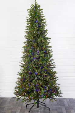Clearance Decorator's Warehouse 10' Slim Southern Fir With 2000 3mm Lights