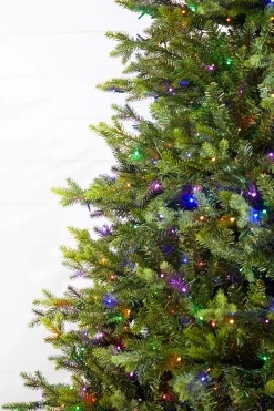 Clearance Decorator's Warehouse 10' Slim Southern Fir With 2000 3mm Lights