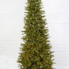 New Decorator's Warehouse 9' Slim Southern Fir With 1500 3mm Lights
