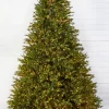 Clearance Decorator's Warehouse 10' Southern Fir With 3000 3mm Lights