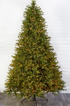 Clearance Decorator's Warehouse 10' Southern Fir With 3000 3mm Lights