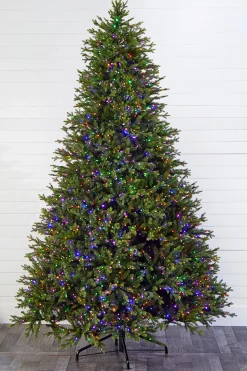 Clearance Decorator's Warehouse 10' Southern Fir With 3000 3mm Lights