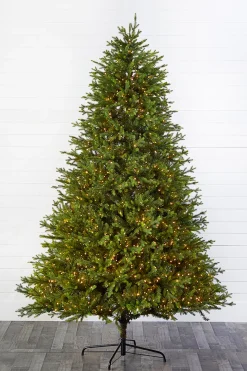 Online Decorator's Warehouse 9' Southern Fir With 2400 3mm Lights