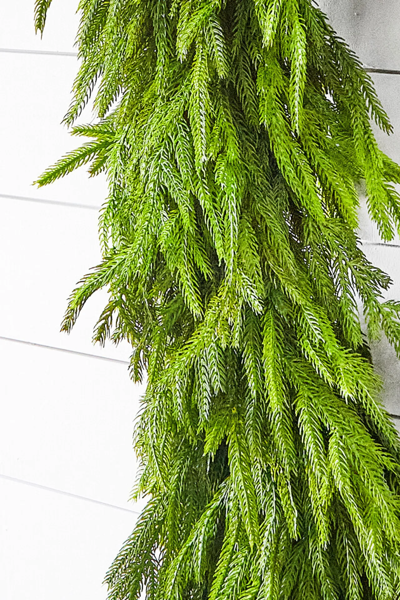Sale Decorator's Warehouse 60" X 16" Real Touch Deluxe Norfolk Pine Garland