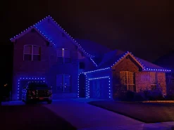 New Decorator's Warehouse C9 Platinum Elite LED SMD Bulb (25 Bulbs/bag) - Faceted, Blue
