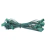 Decorator's Warehouse C9 Socket Cord - 50' 12" Spacing