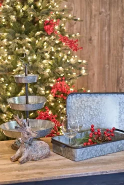 Discount Decorator's Warehouse Galvanized Metal Trays - Set Of 2